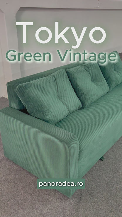 Canapea extensibilă Tokyo Verde Vintage