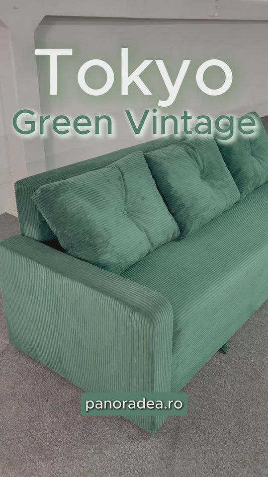 Canapea extensibilă Tokyo Verde Vintage