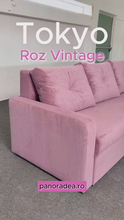 Canapea extensibilă Tokyo Roz Vintage