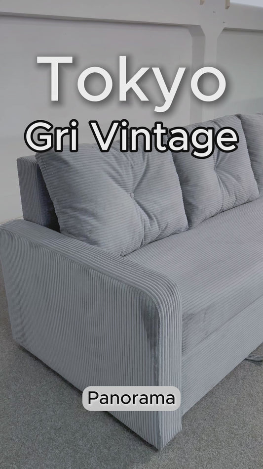 Canapea extensibilă Tokyo Gri Vintage